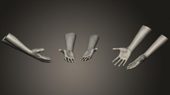 نموذج ثلاثي الأبعاد لآلة CNC تشريح الهياكل العظمية والجماجم أيدي النساء 11